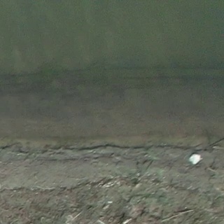 Annotated Image
