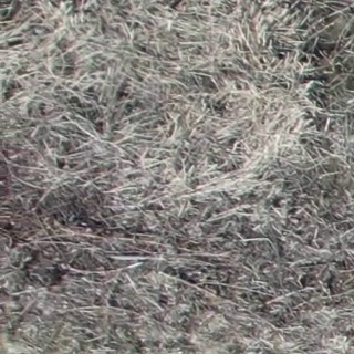 Annotated Image
