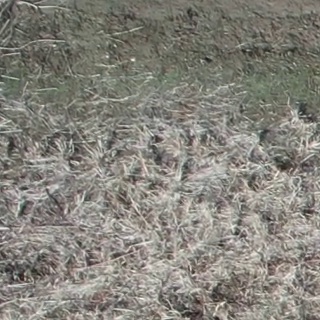 Annotated Image