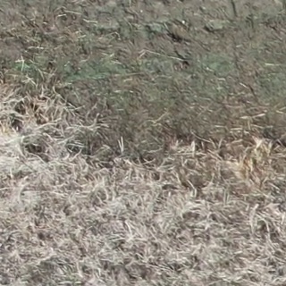 Annotated Image