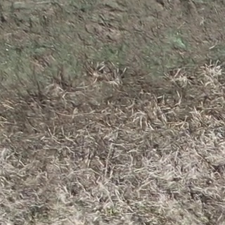 Annotated Image