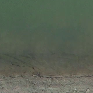 Annotated Image