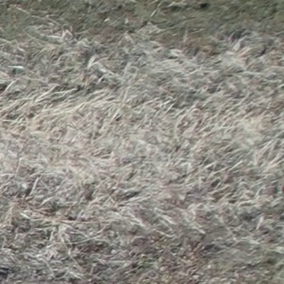 Annotated Image