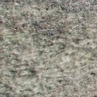 Annotated Image
