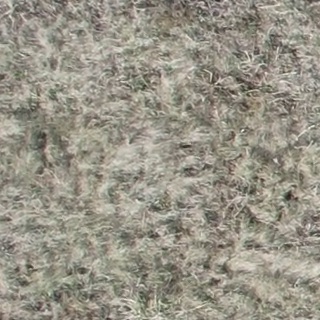 Annotated Image
