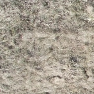 Annotated Image