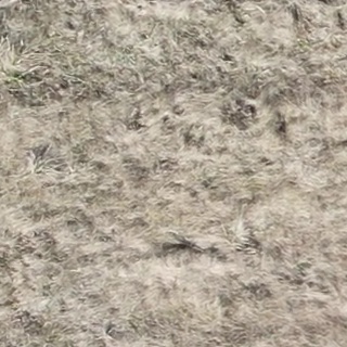 Annotated Image