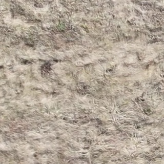 Annotated Image