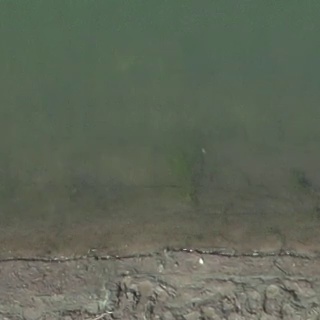 Annotated Image