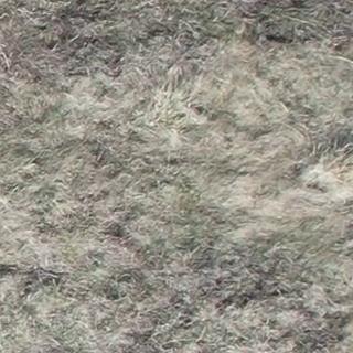 Annotated Image