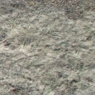 Annotated Image