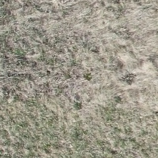 Annotated Image