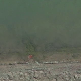 Annotated Image