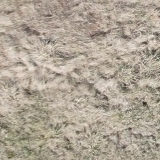 Annotated Image