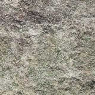 Annotated Image