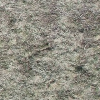 Annotated Image