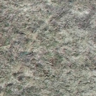 Annotated Image
