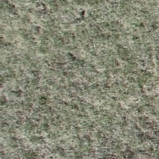 Annotated Image