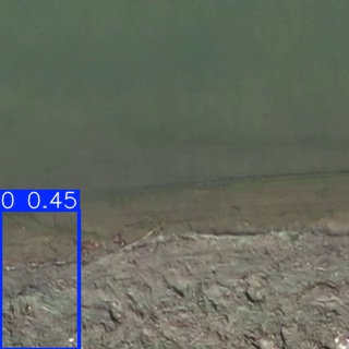 Annotated Image