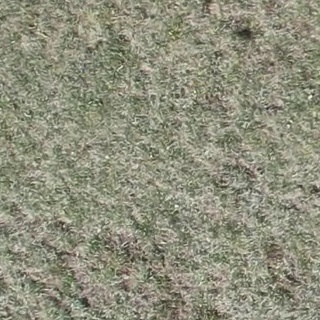 Annotated Image