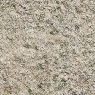 Annotated Image