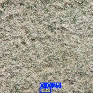 Annotated Image