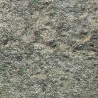 Annotated Image