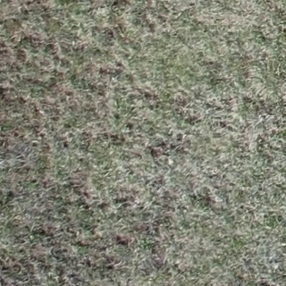 Annotated Image