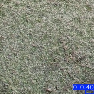 Annotated Image