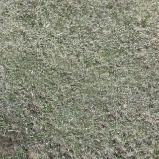 Annotated Image