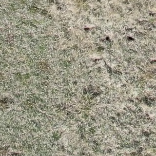 Annotated Image
