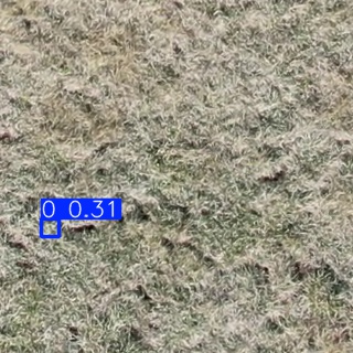 Annotated Image