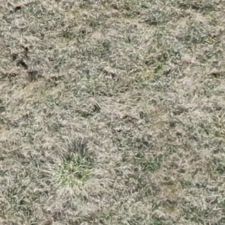 Annotated Image