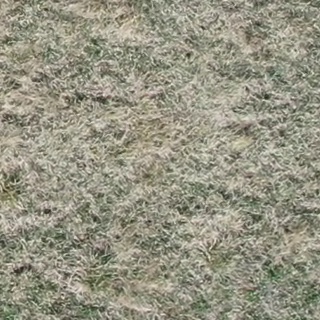 Annotated Image