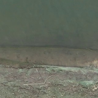 Annotated Image