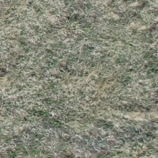 Annotated Image