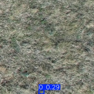 Annotated Image