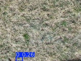 Annotated Image