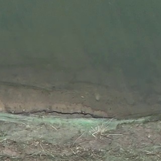 Annotated Image