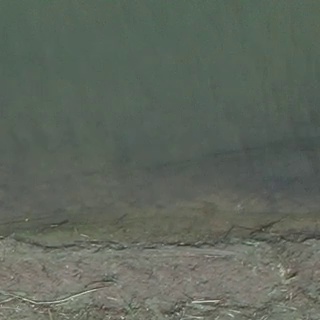 Annotated Image