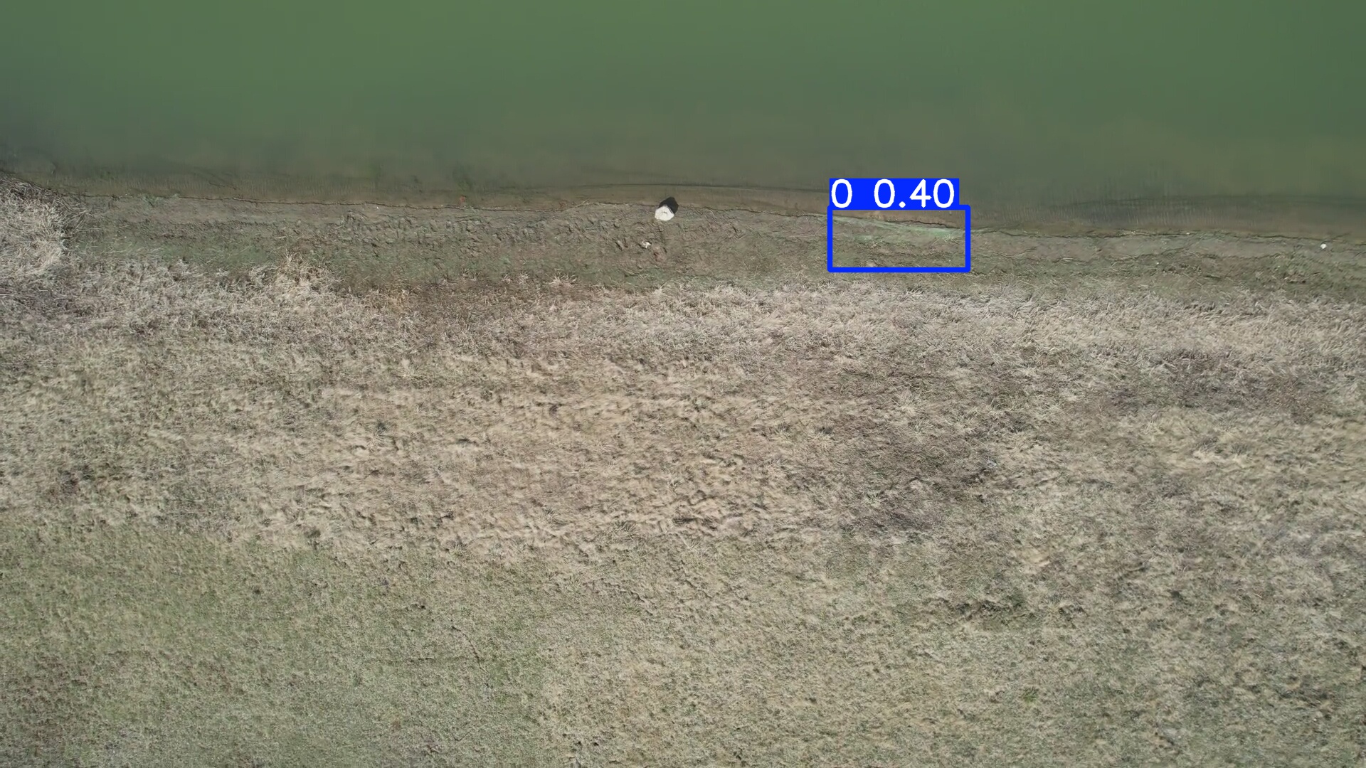 Annotated Image