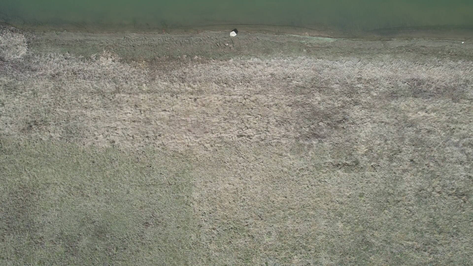 Annotated Image