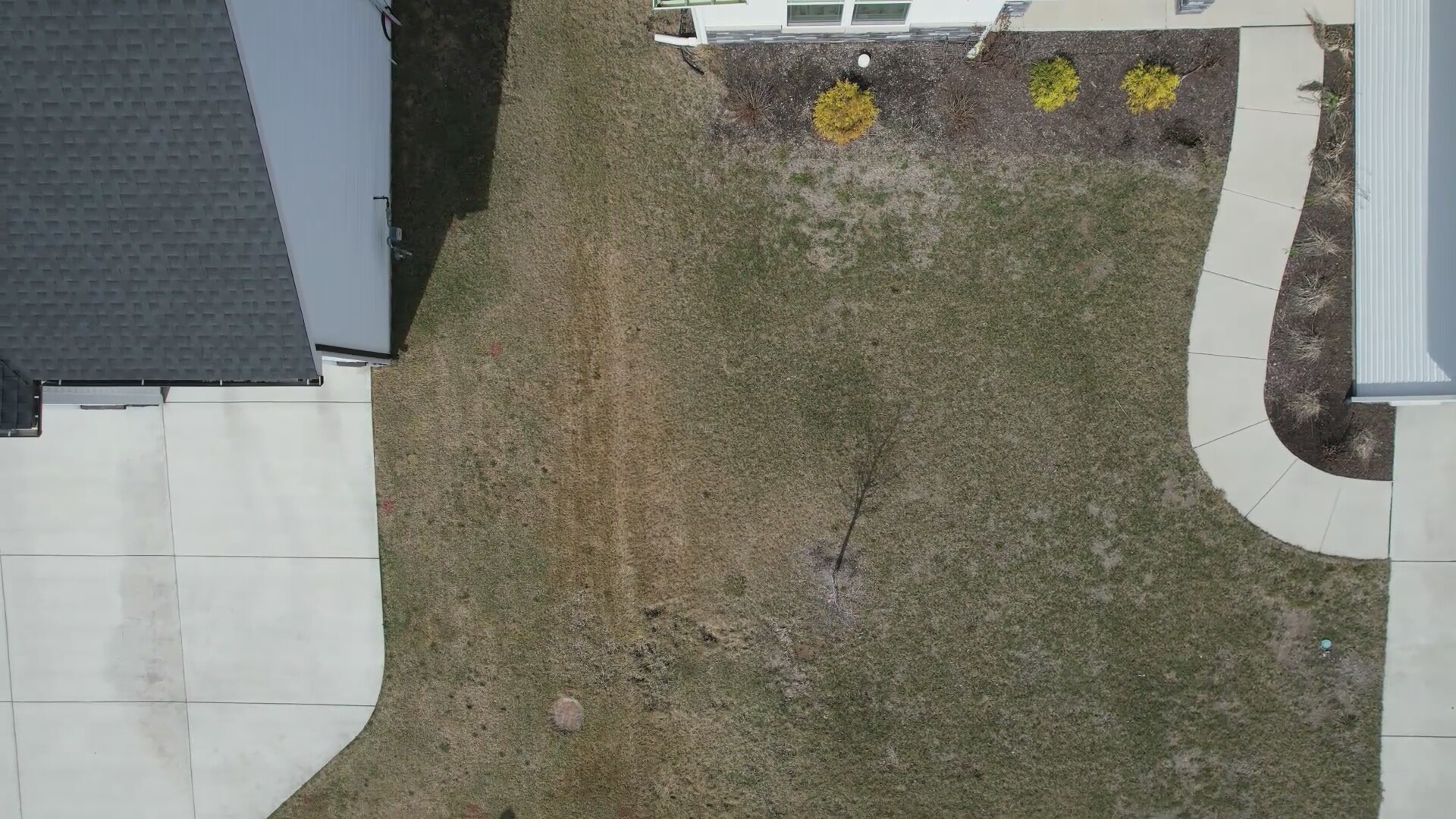 Annotated Image