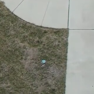 Annotated Image