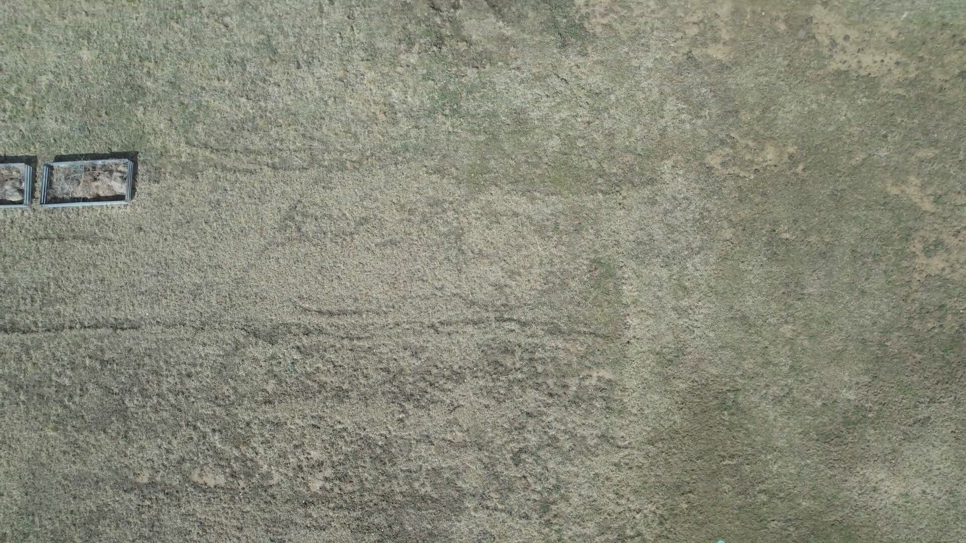 Annotated Image