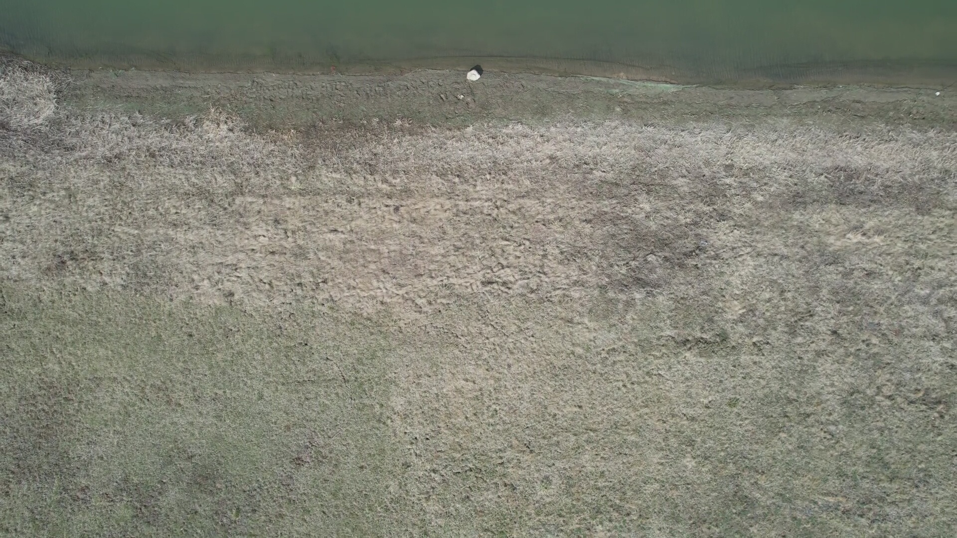 Annotated Image