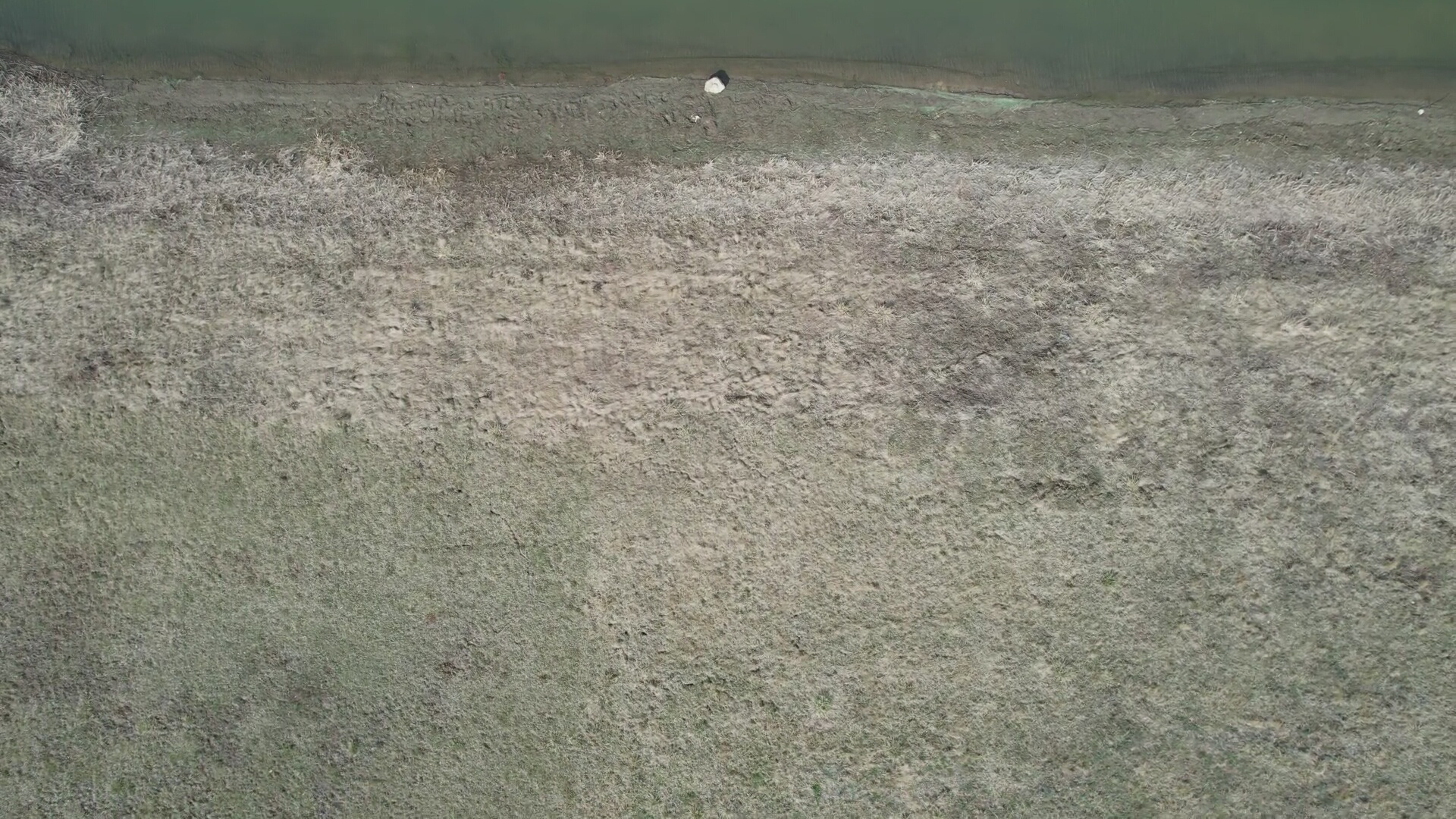 Annotated Image