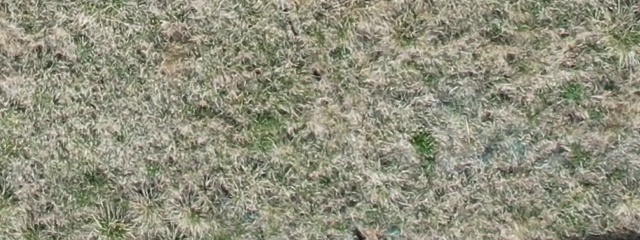 Annotated Image