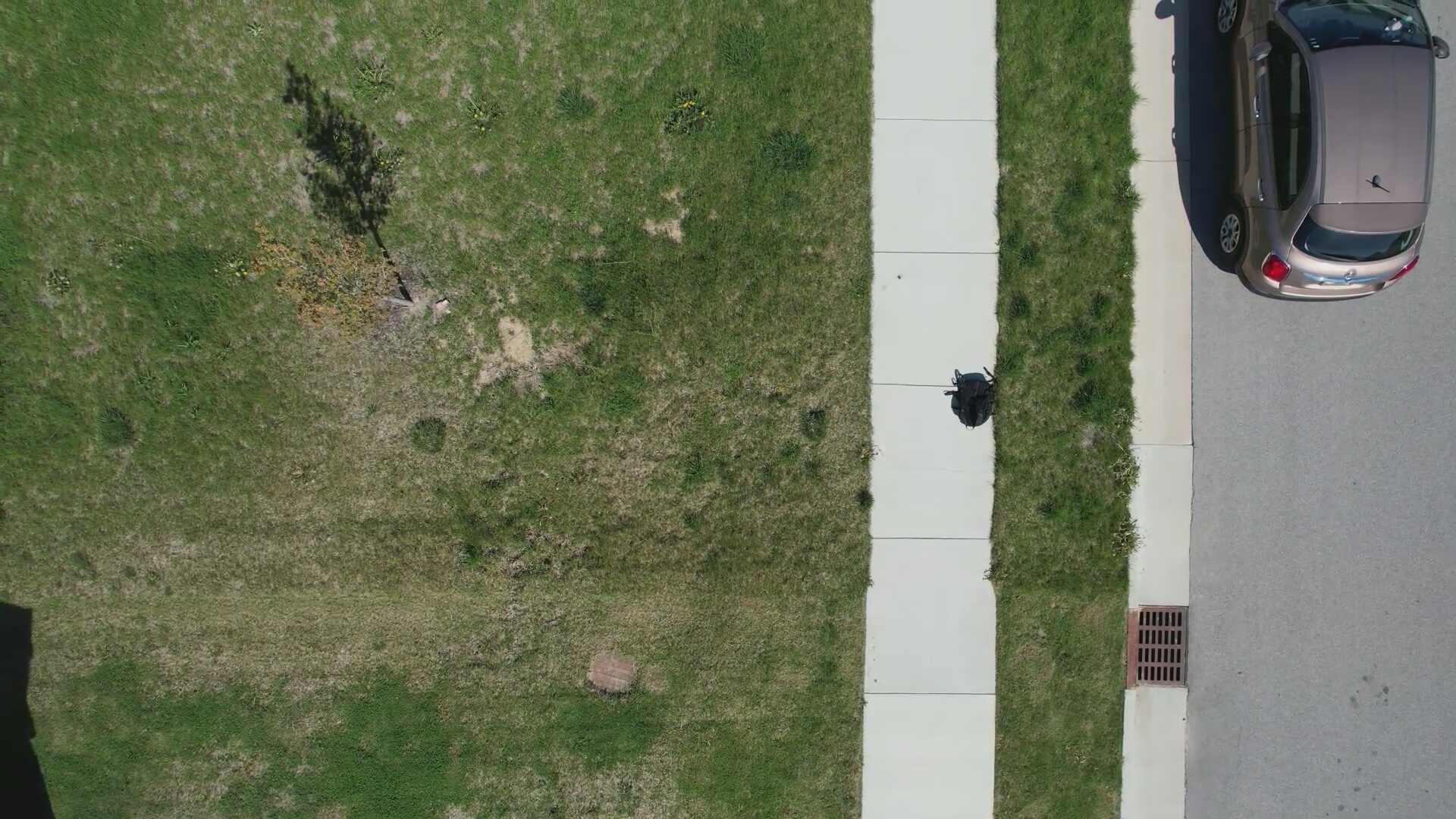 Annotated Image