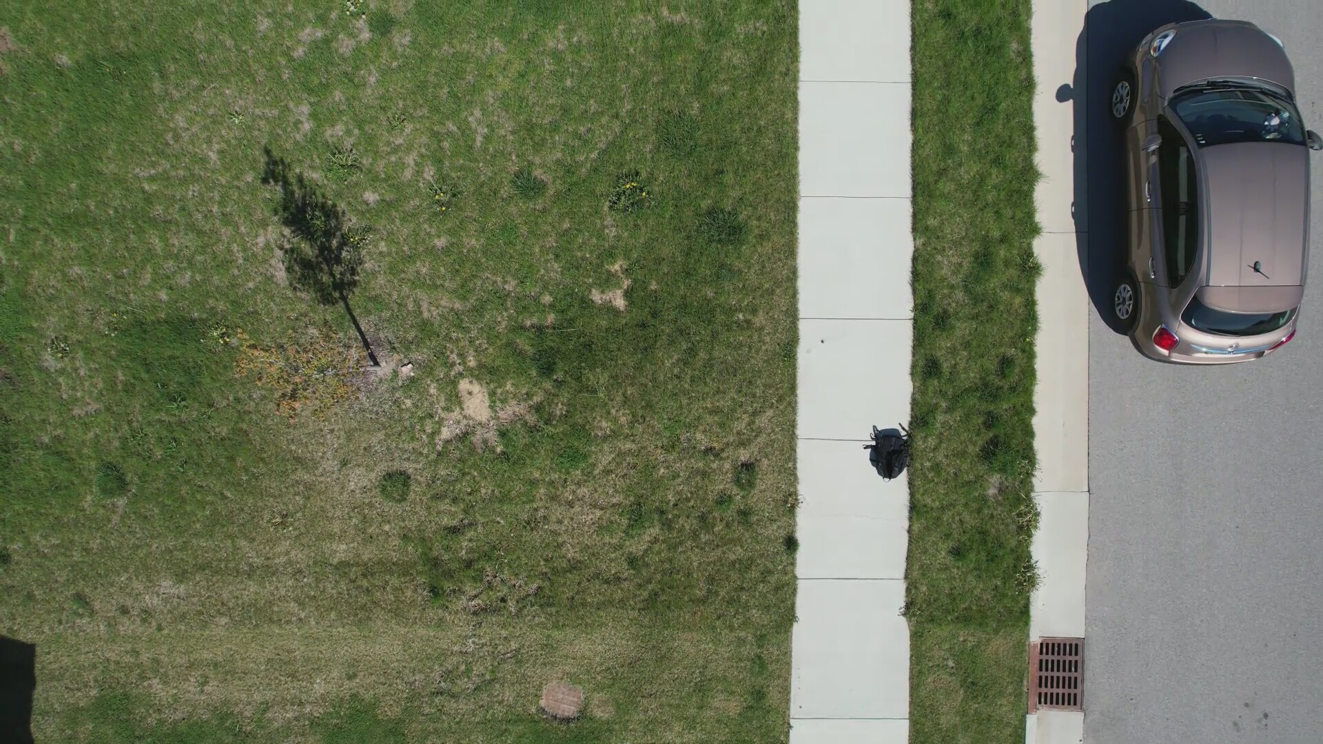 Annotated Image